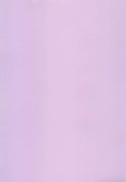 Page 29 of Iza Jinjou ni Shoubu!