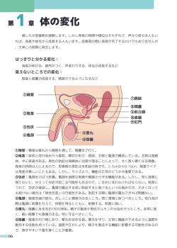 Page 6 of Erotic Sex Education For Boys