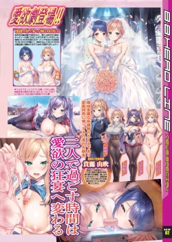 Page 13 of BugBug 2024-09