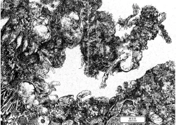 Page 61 of Jigoku no Kisetsu