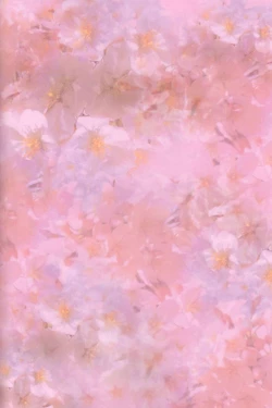 Page 2 of Niso Fuji o Kamu