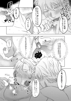 Page 19 of Sunao Switch