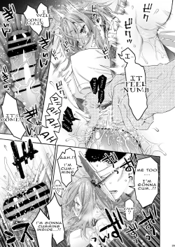 Page 29 of Komarobako | Komaro Box