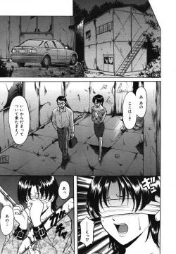 Page 270 of COMIC Mega GOLD 2007-07 Vol. 1