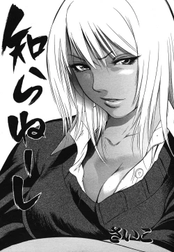 Page 96 of COMIC Mega GOLD 2007-07 Vol. 1