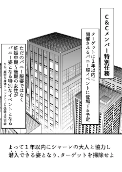 Page 2 of 孕ませバニーC&C