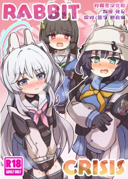 Page 1 of RABBIT CRISIS