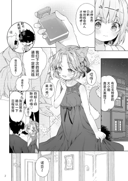 Page 3 of Isekai Otona no Omochaya-san 2 | 异世界成人玩具店的店主先生2