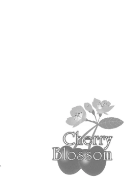 Page 4 of Cherry Blossom