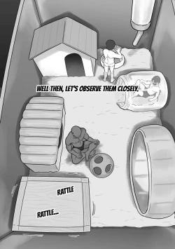 Page 11 of Couple no Suisou ni Iroiro na Osu o Irete Miyou