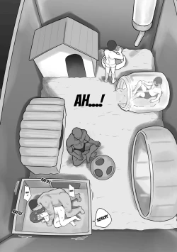 Page 12 of Couple no Suisou ni Iroiro na Osu o Irete Miyou