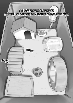 Page 18 of Couple no Suisou ni Iroiro na Osu o Irete Miyou