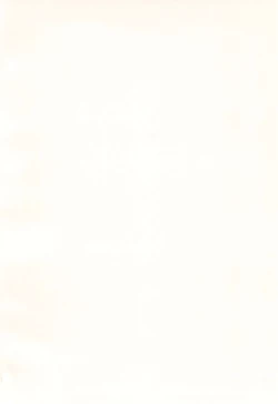 Page 4 of Thoma-kun to Etchina Himegoto