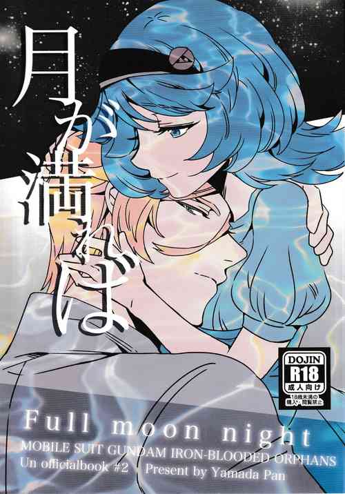 Download Tsuki ga Michireba - Full moon night