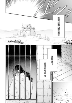 Page 331 of isekai de migawarihime ninari haou ni ubawaremashita ​| 在异世界成为了替身公主被霸王掳走了 1-12 end