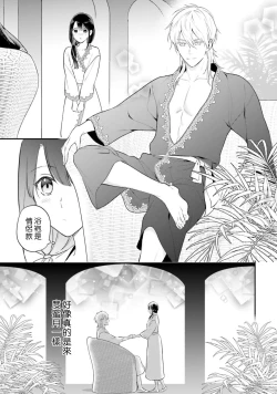 Page 381 of isekai de migawarihime ninari haou ni ubawaremashita ​| 在异世界成为了替身公主被霸王掳走了 1-12 end
