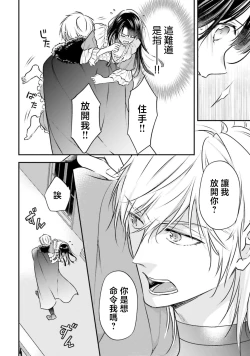 Page 41 of isekai de migawarihime ninari haou ni ubawaremashita ​| 在异世界成为了替身公主被霸王掳走了 1-12 end