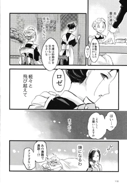 Page 119 of Rosenlitter 3&4&5