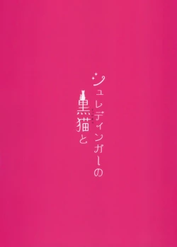 Page 26 of Schrödinger no Kuroneko to | 与薛定谔的黑猫一起