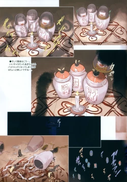 Page 21 of Skeb-e Works 06