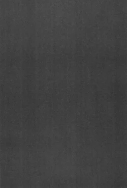 Page 37 of TWIN MOON