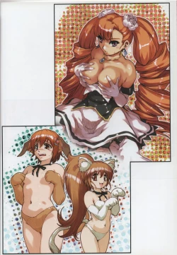 Page 45 of Purindou Diary