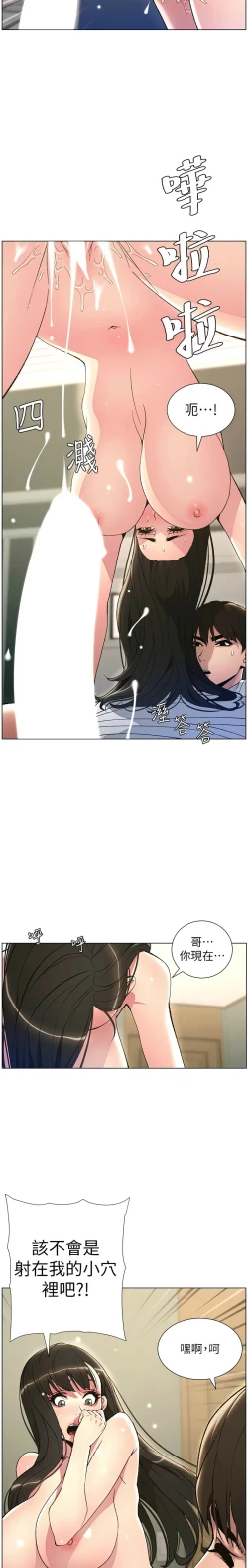 Page 335 of 兄妹的秘密授课／A Secret Lesson With My Younger Sister 1-17