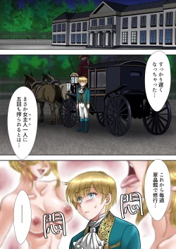 Page 28 of Succubus Choukyou Nisshi III "Suishoukan"