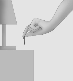 Page 496 of Female Students Working Part-Time In Prison