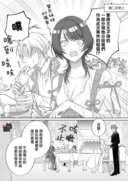 Page 3 of ai ga omoi kishi koushaku ha、tuihou reijou no subete wo ubai tukushitai。 | 爱得太深沉的骑士公爵，想要夺得流放千金的一切。 23