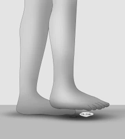 Page 488 of Female Students Working Part-Time In Prison