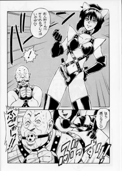 Page 17 of Koukaku G.I.S & S.A.C Hon 5