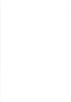 Page 63 of She... - LUNCH BOX 15