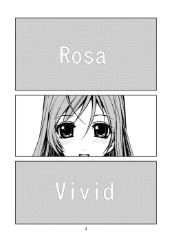 Page 3 of RV - Rosa Viva