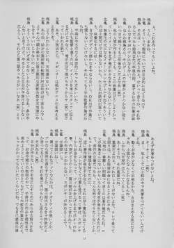 Page 17 of Shiomiroku