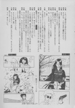 Page 31 of Shiomiroku