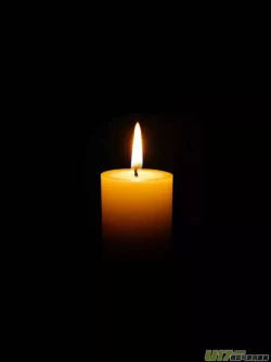 Page 462 of 日渐崩坏的世界 第201-250话