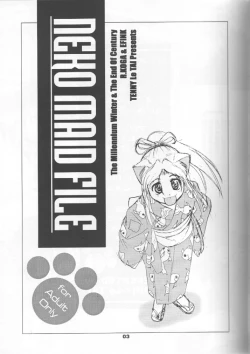 Page 2 of Neko Maid File