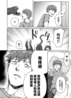 Page 5 of Uchi no Yandere na Kaineko-chan ni Mechakucha ni Shiborarechau Hanashi +  Yandere Kai Neko Series