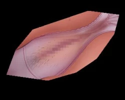 Page 7 of Hajimete no Ganmen Kijou Feat. Kitani Sai