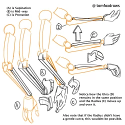 Page 1 of tomfox draws