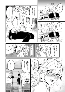 Page 19 of Sumeru Commission Quest