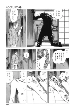 Page 171 of Cambrian Vol. 2