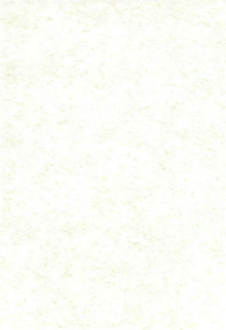 Page 4 of Rymphet Maniax