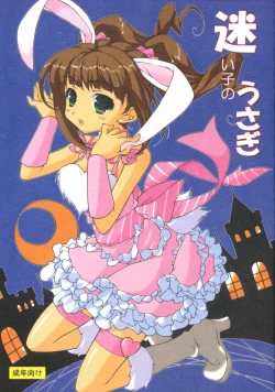 Page 1 of Mayoigo no Usagi