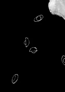 Page 223 of 金瓶梅 1-28+番外