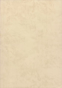 Page 25 of Mia-chan Kannou Shashinshuu