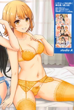 Page 102 of Iyarashiku Midaresaku Houshi-bu.