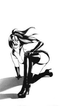 Page 223 of Cambrian Vol. 3