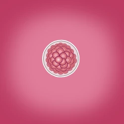 Page 14 of Yumi's Study Abroad/由美的留学生活（汉化）（连载中）